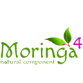 Moringa Oleifera | Häfnerwelt