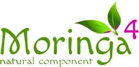 Moringa4 Logo